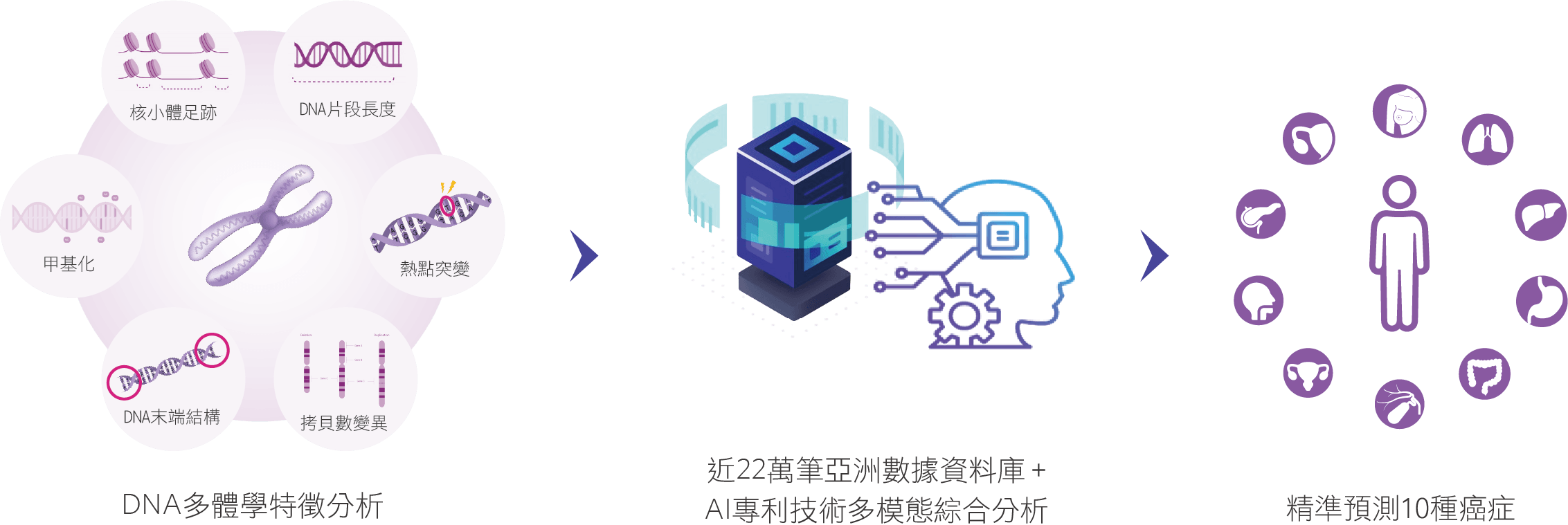 什麼是SPOT-MAS 10