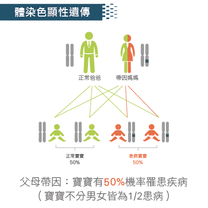 體染色體顯性遺傳